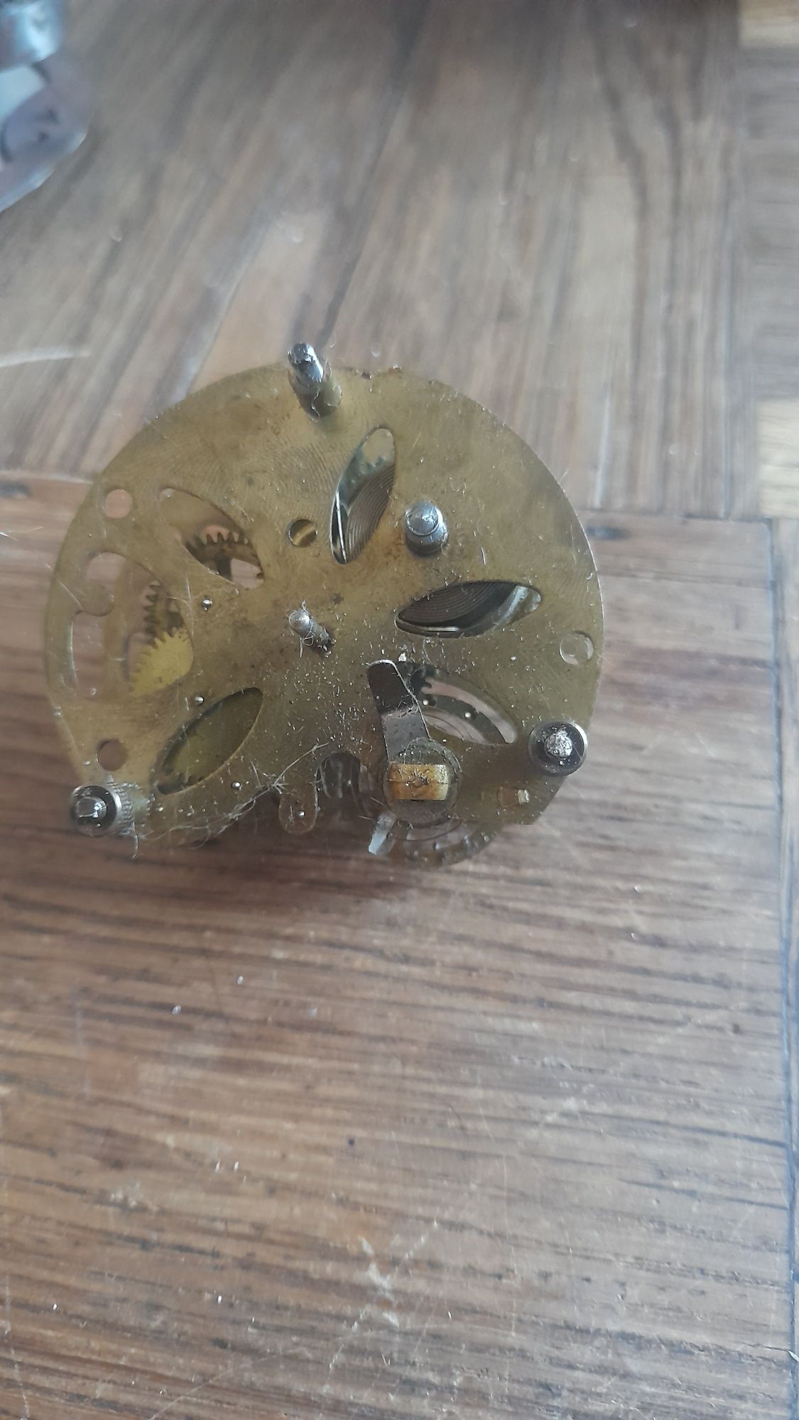 Mechanizmy Junghans Budziki