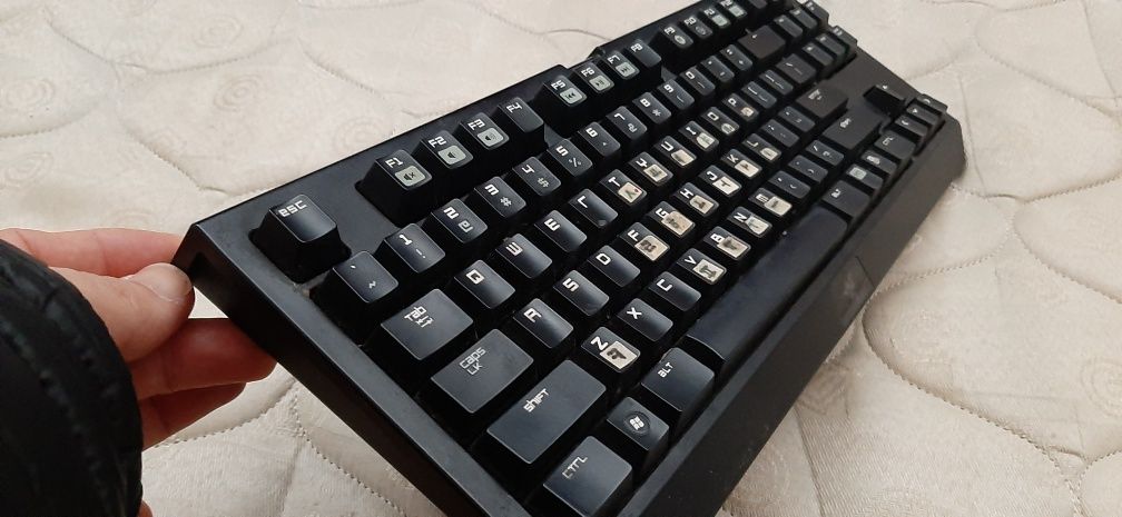 Razer blackwidow tournament edition