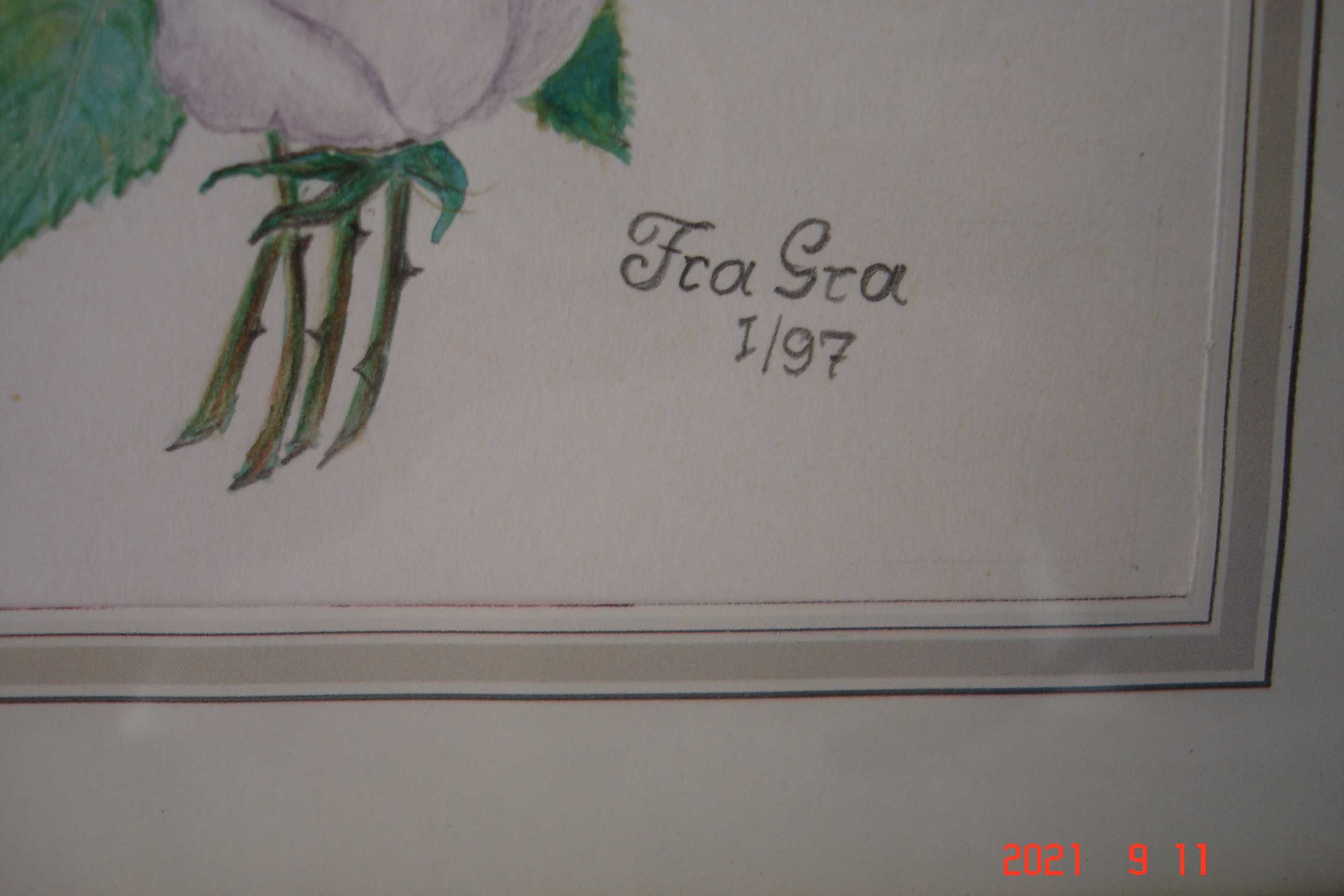 Obrazek ręcznie malowany Róże 25,5cmx20cm za szkłem sygnowany
