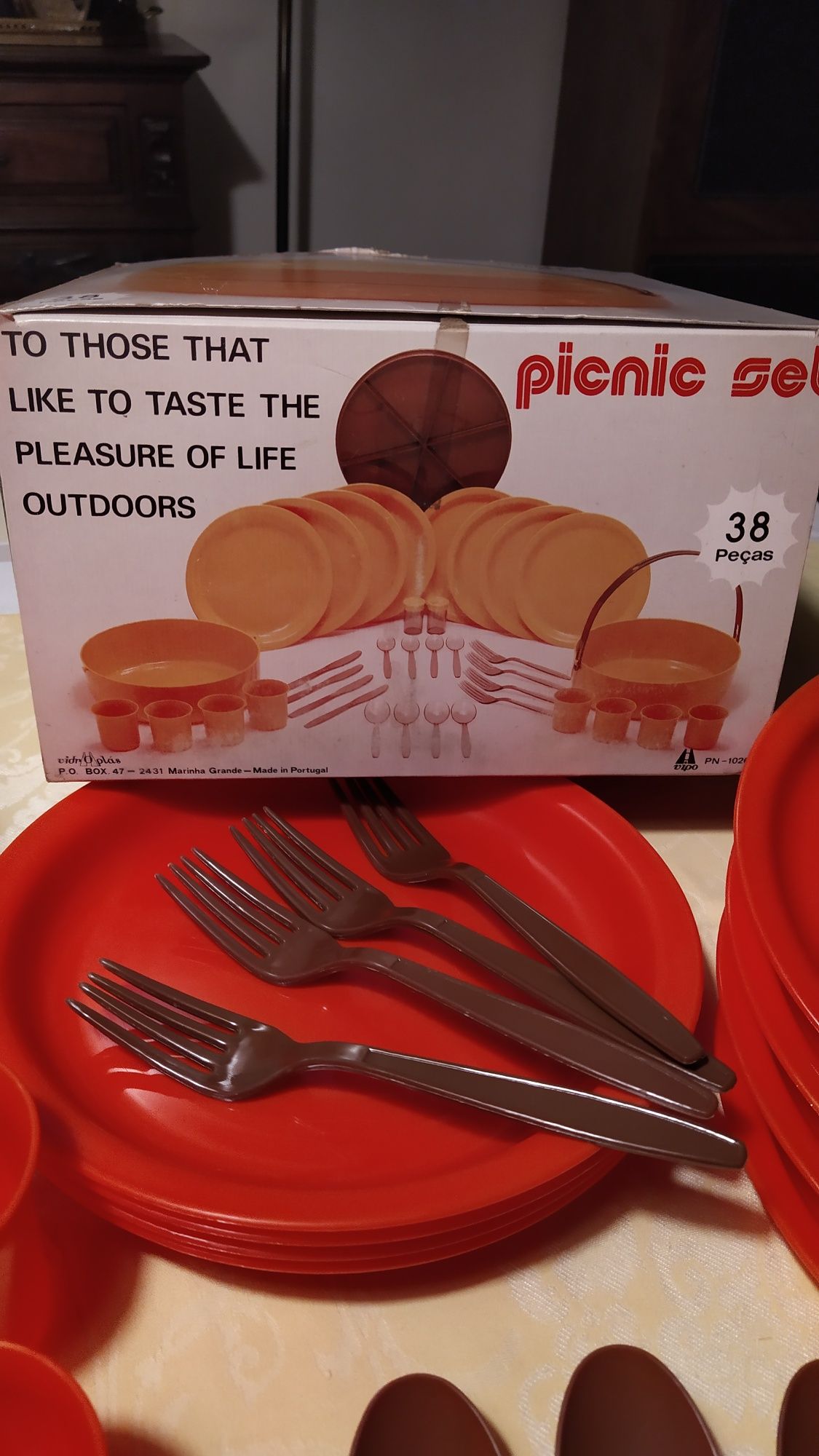 Conjunto de Picnic