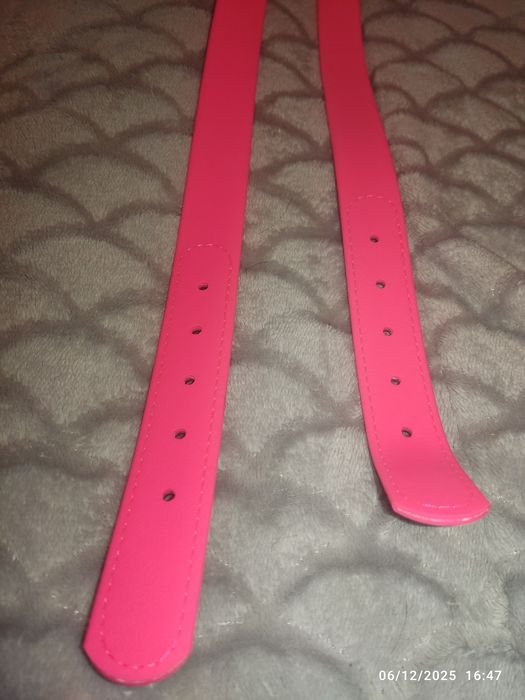 Coleiras rosa choque