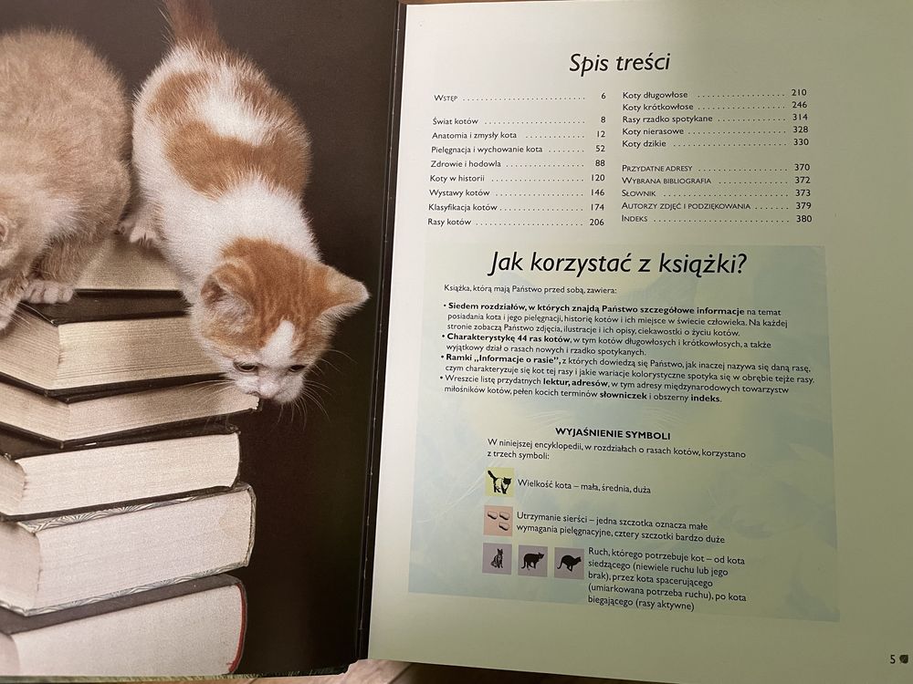 Koty - kompendium