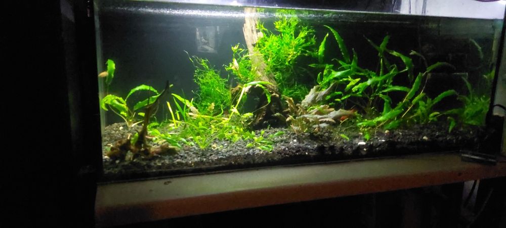 Sprzedam akwarium 112l tylko do dzisiaj cena 120zl