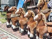 Konik mechaniczny PonyCycle mały