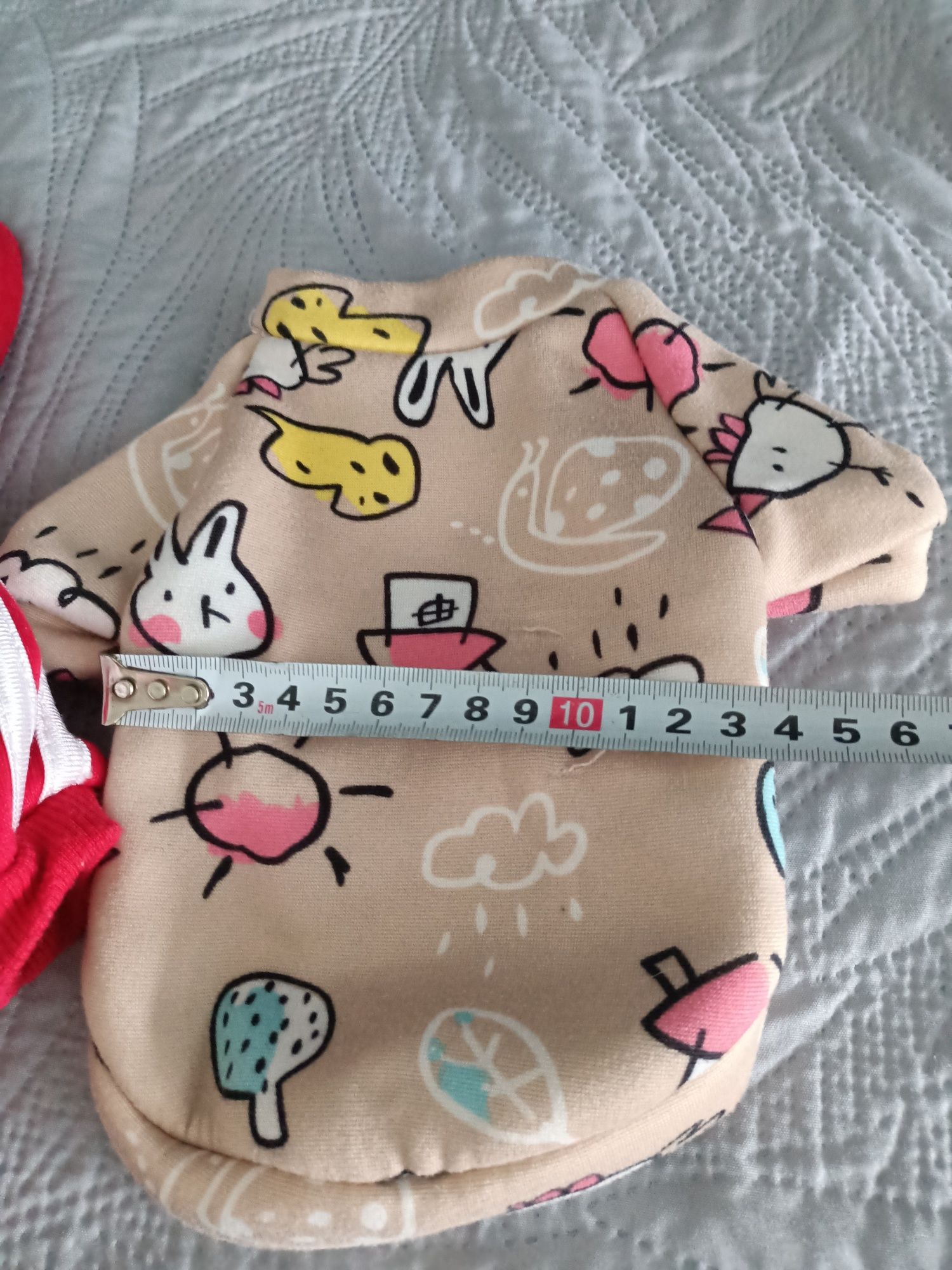 Chihuahua bluzy i majtki na cieczkę