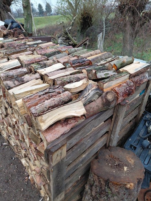 Drzewo opałowe  2,5 metra