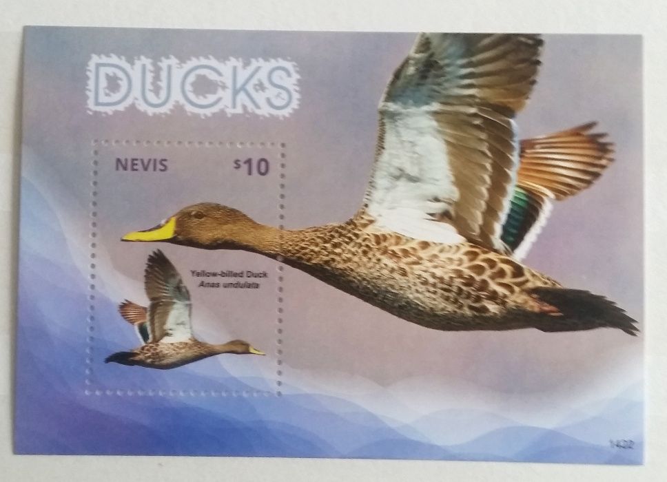 Znaczki pocztowe - Nevis- kaczki ,blok -2014r