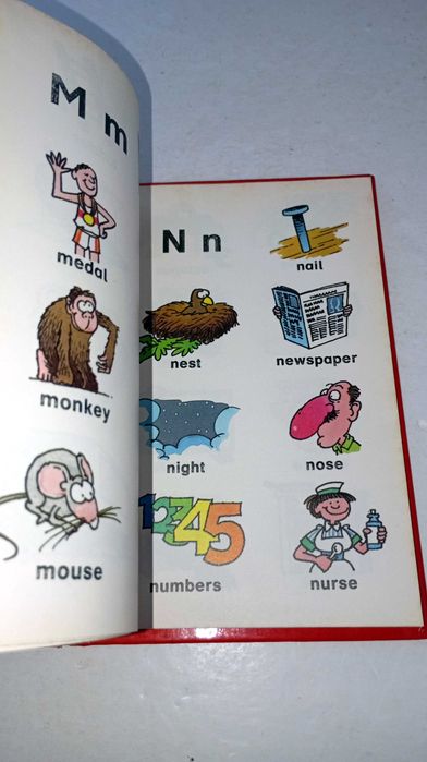Picture Dictionary (Inglês)