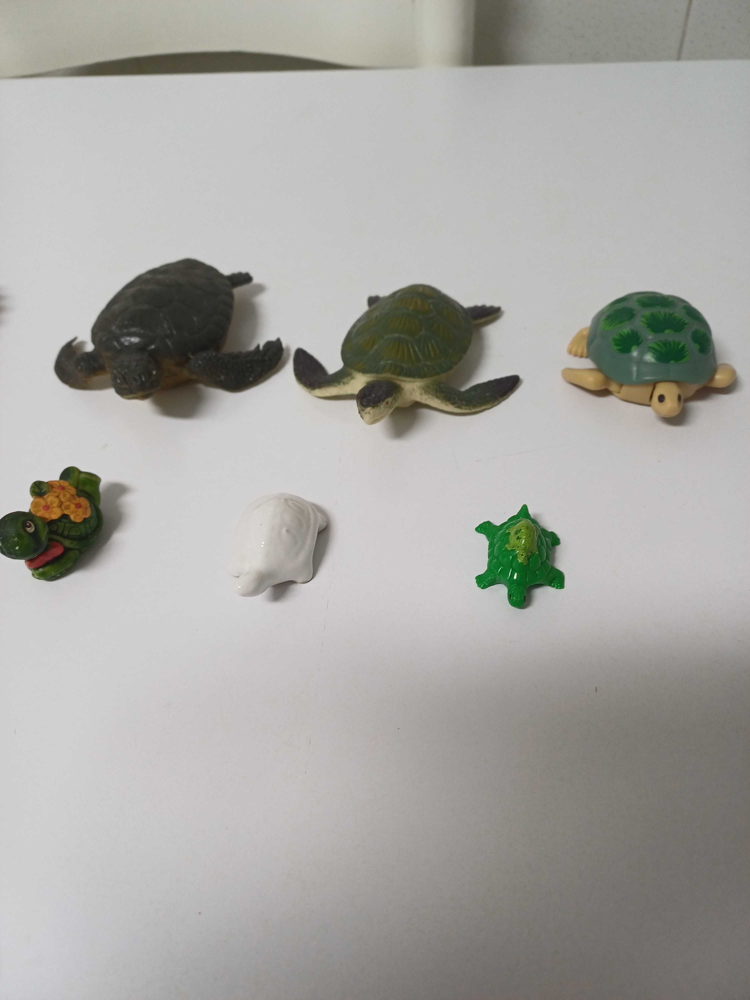 Coleção de tartarugas 11 unidades