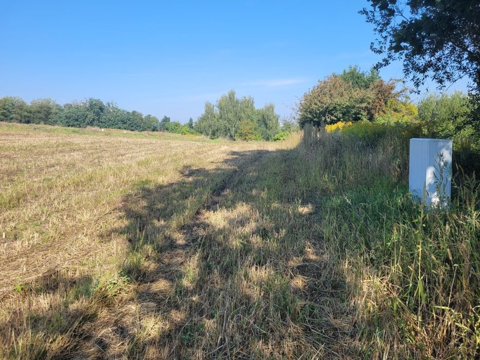 Działka budowlana w Trzebnicy bez pośredników
