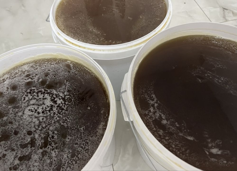 miód, miód leśny świeży sezon 2025 pasieki rodziny matki