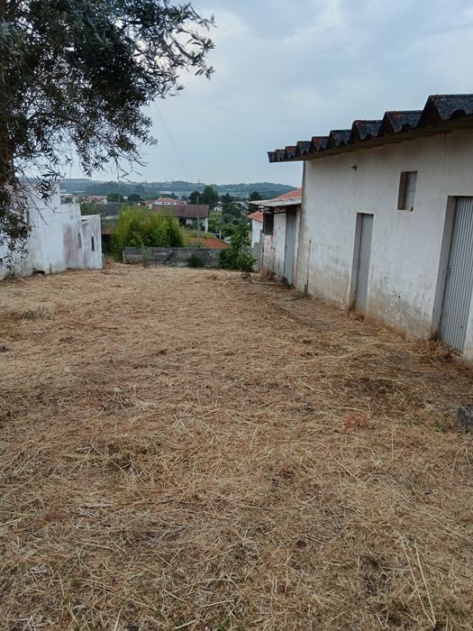 Limpeza de terreno,quintais, jardins com  roçadora