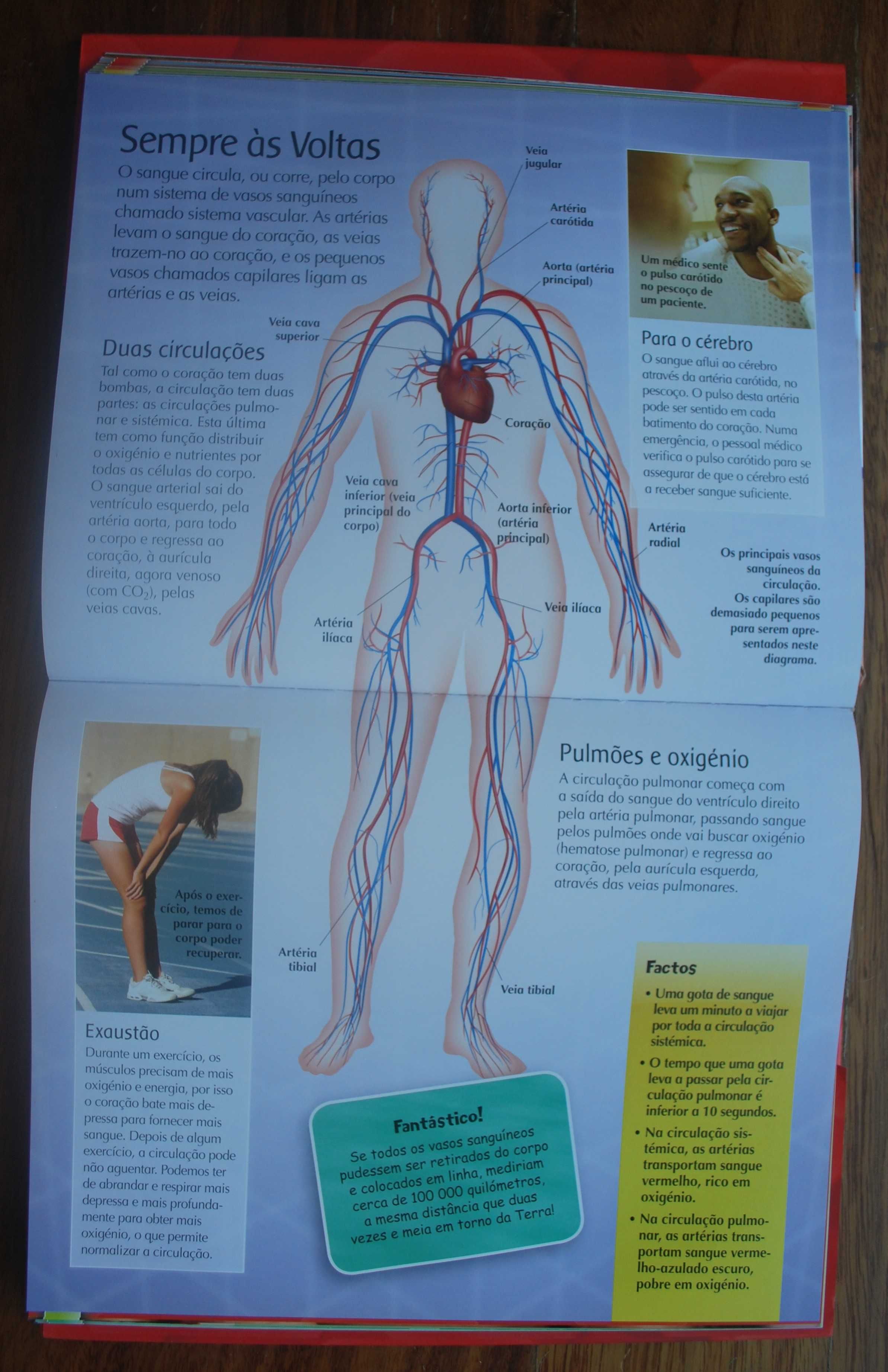 A Enciclopédia do Corpo Humano (A Partir 8 Anos)