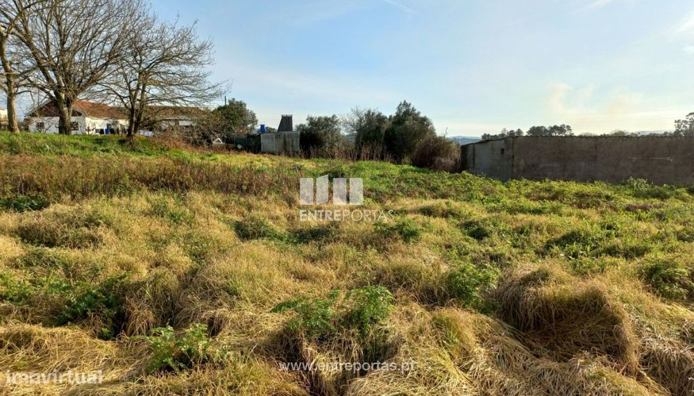 Venda de Terreno, Serreleis, Viana do Castelo
