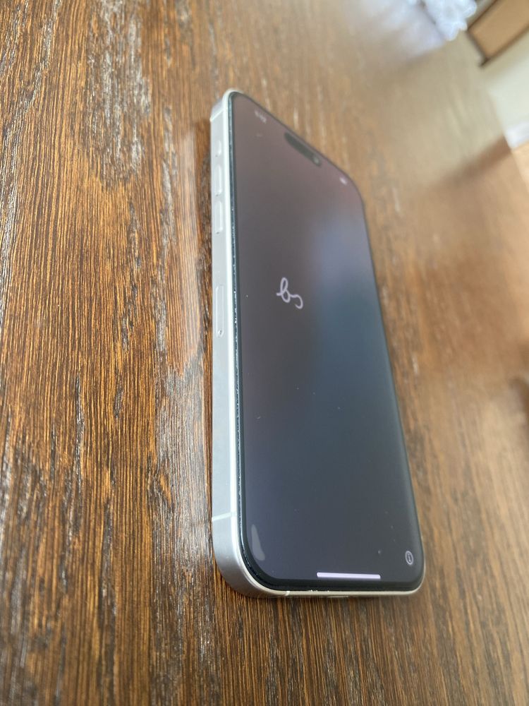 Iphone 15 Pro Max 256G
