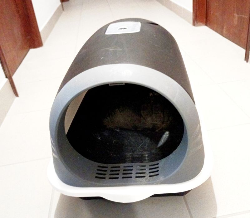 WC gatos com um defeito