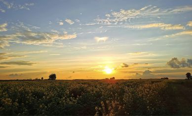 Duża działka budowlana