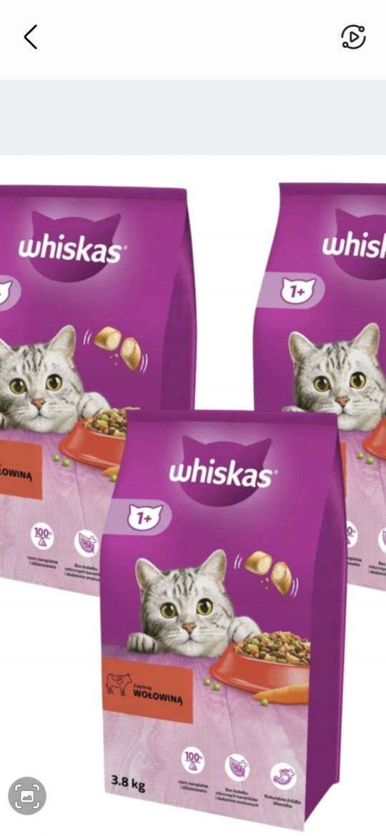 Karma sucha kot whiskas ważona 1 kg