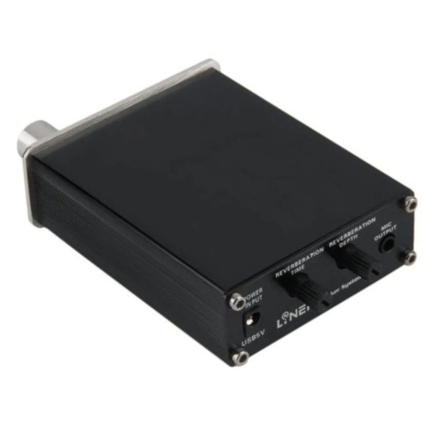 Mini wzmacniacz audio Pogłos mikrofonu Podwójne porty mikrofonowe