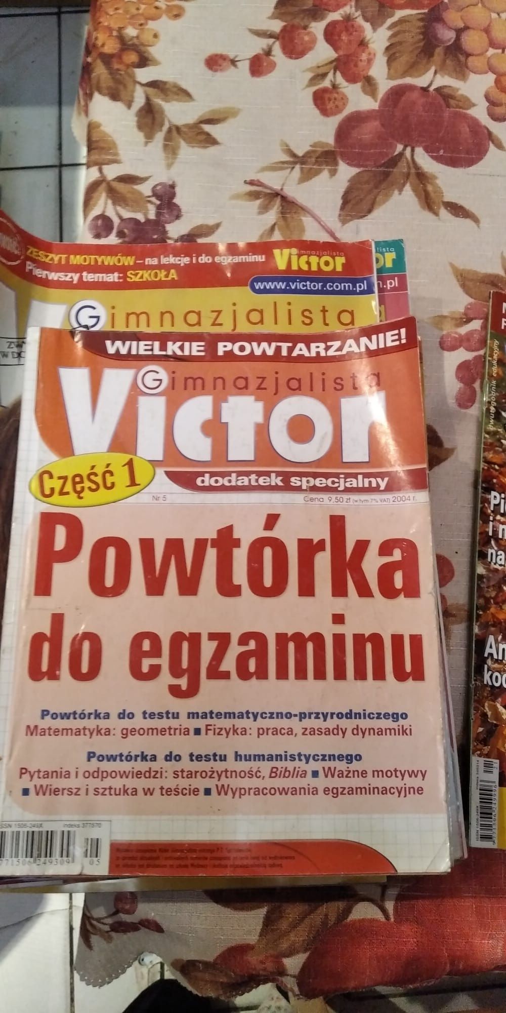 Wiktor gimnazjalista. Powtórka do egzaminu.lektury obowiazkowe