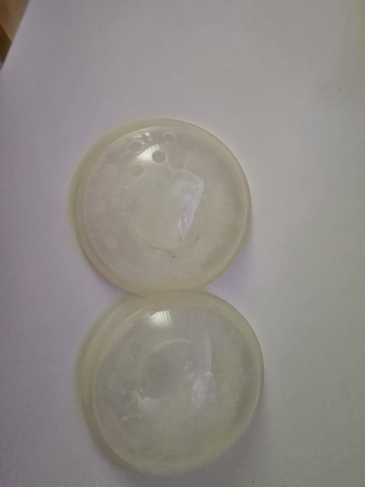 Conchas/coletor medela