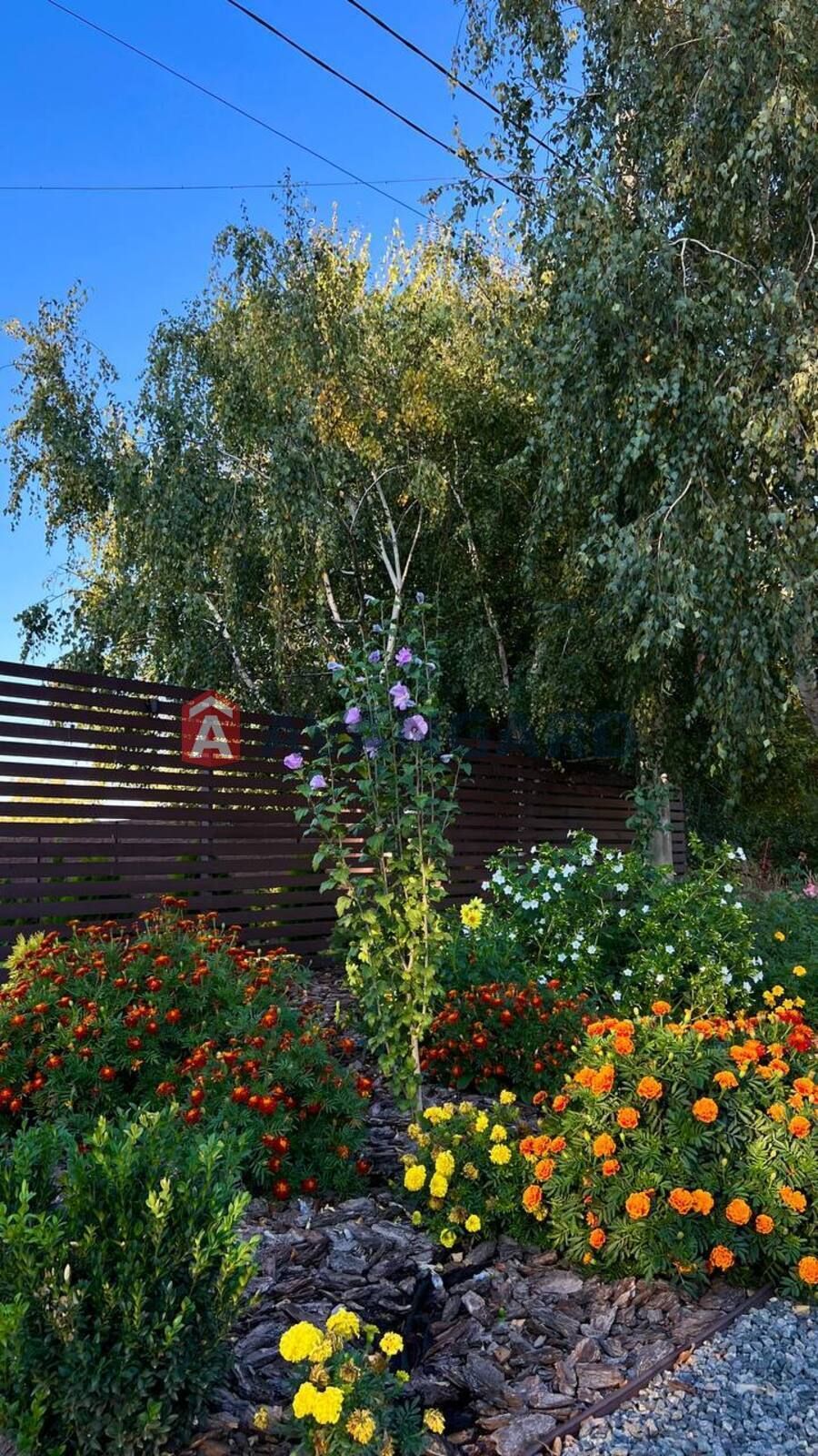 Продам дом Левый берег