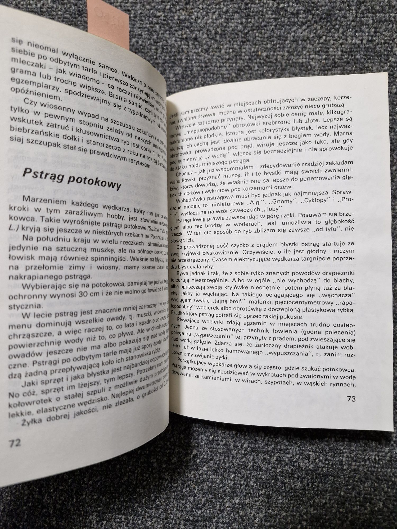9250. "Przechytrzyć rybę" Aleksander Junosza Gzowski