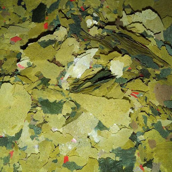 Flocos Tropicais, Alho, Spirulina 30%, Malawi, Etc.