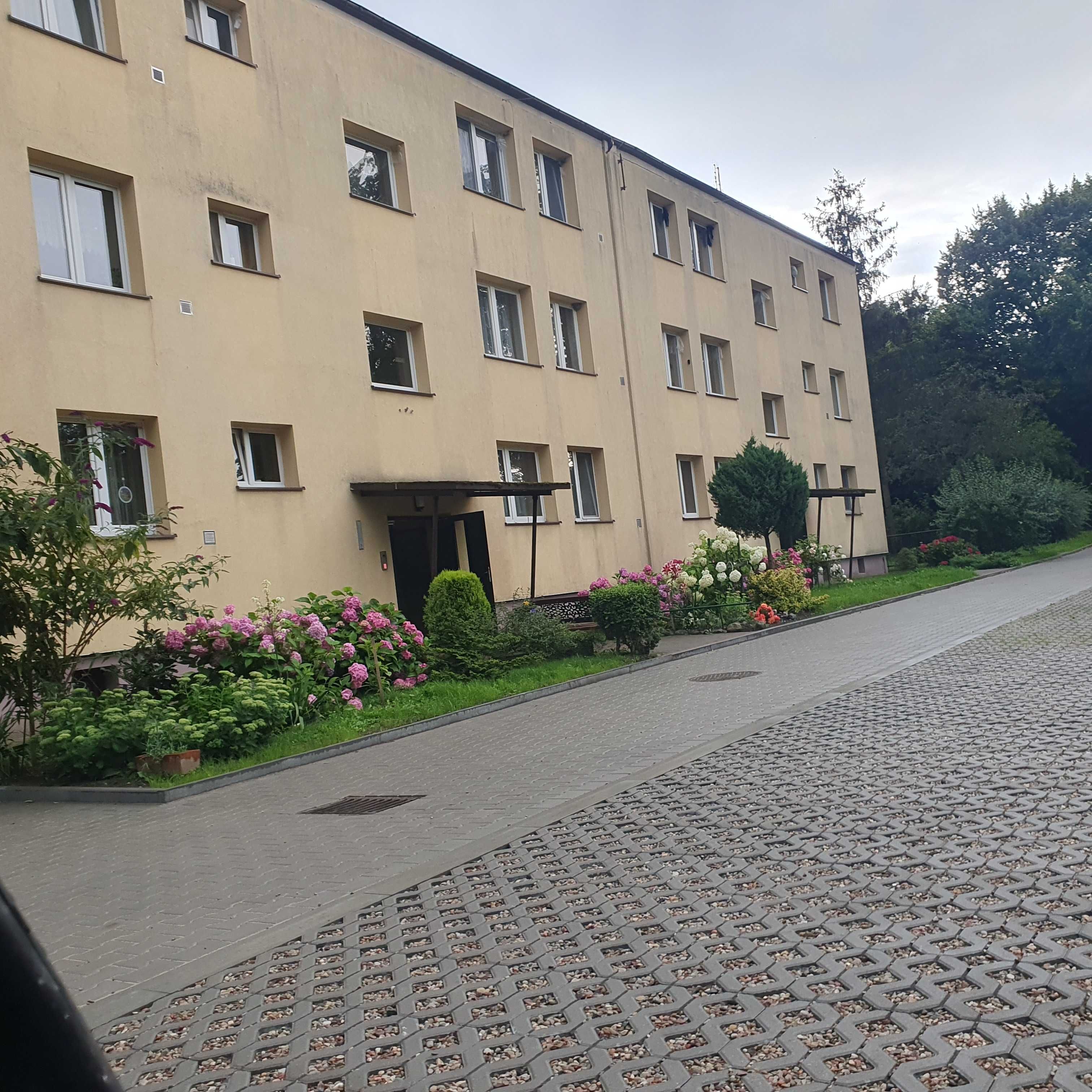 Przytulne mieszkanie do wynajęcia