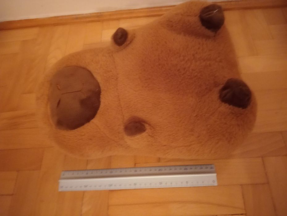 Pluszak kapibara duży