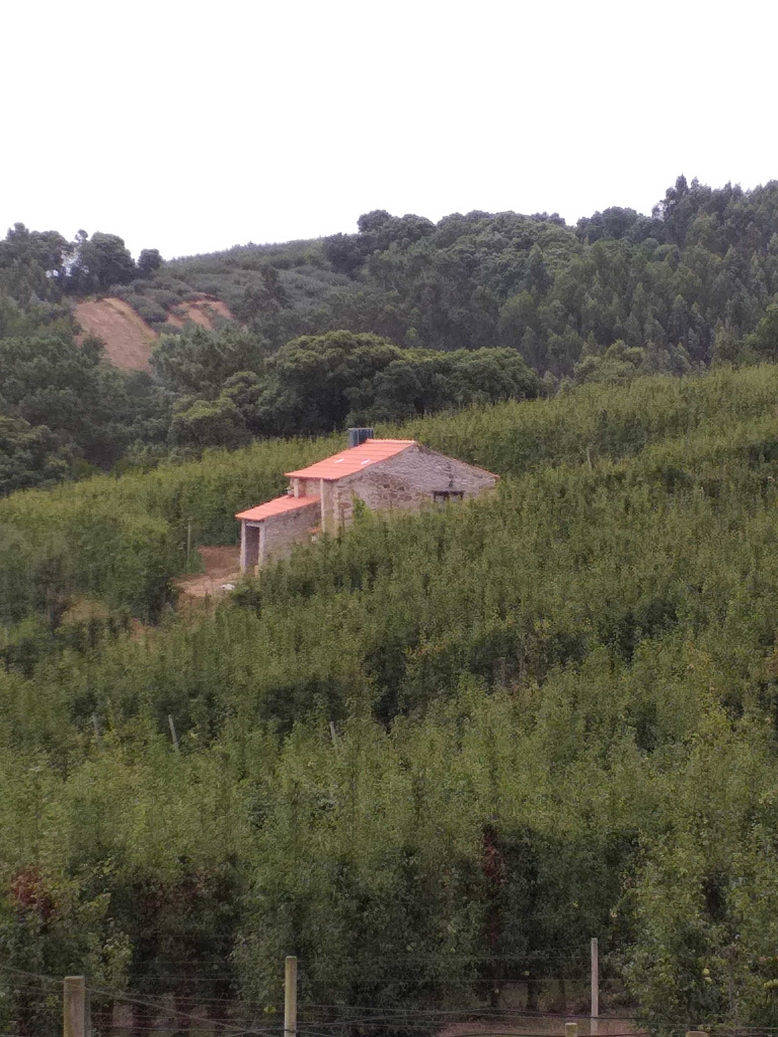 Moradia no meio da natureza 
House in the middle of nature – Óbidos