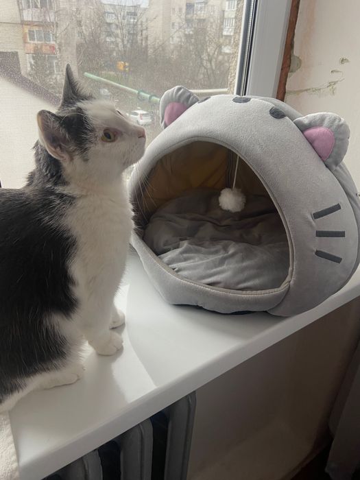 Для кота лежанка домик