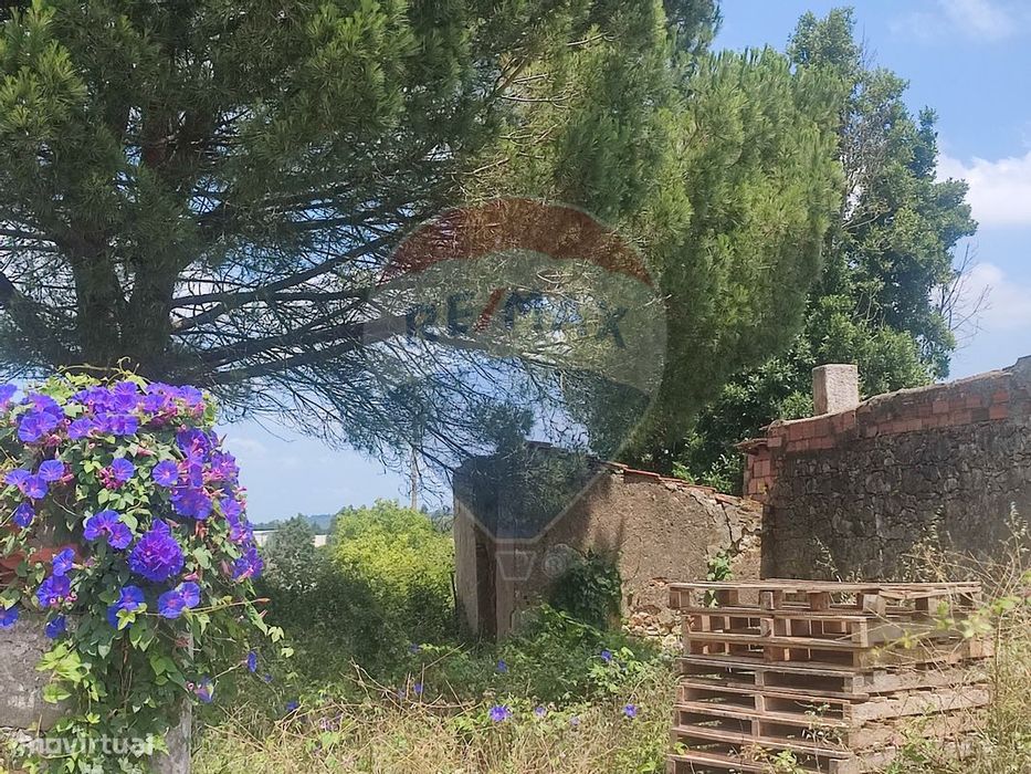 Terreno  para venda