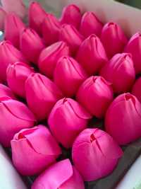 50x Tulipan Mydlany BOX - Różany