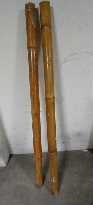 Canas bambu usadas