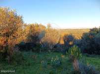 Terreno  para venda