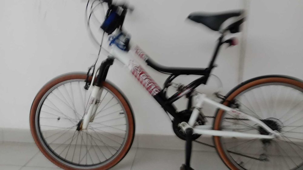 Bicicleta Aro 24