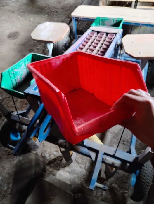 Sadzarka do czosnku i cebuli