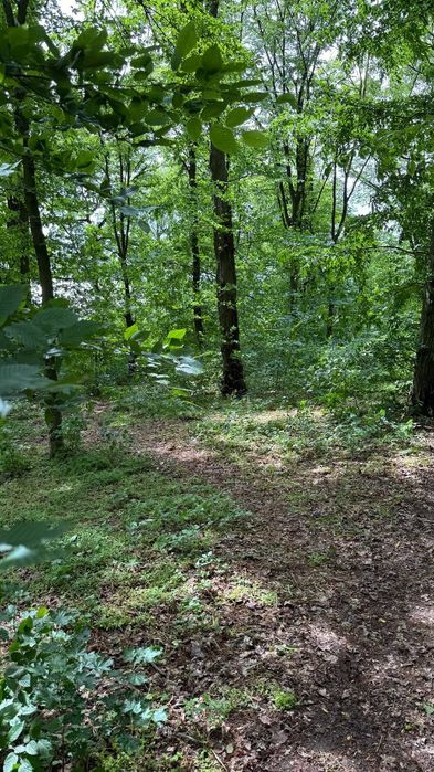 Продається новий будинок біля лісу