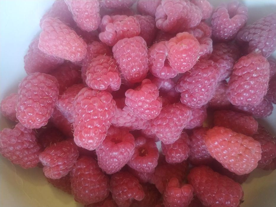 Ягоди заморожені. Малина. Полуниця. Крижовник.