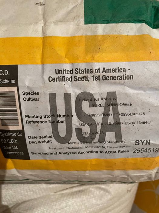 Соняшник Sureli Сурелі Syngenta