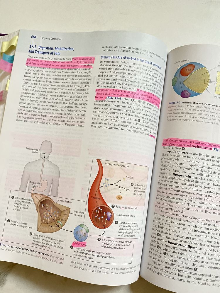 Livro técnico Lehninger - Principles of Biochemistry 6th Edition