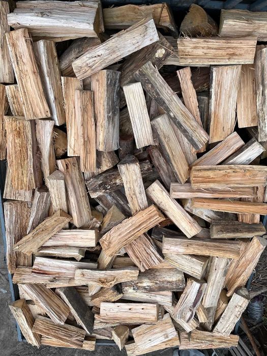 Lenha de eucalipto cortada