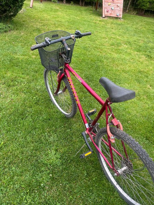 Rower NEVADA z koszykiem