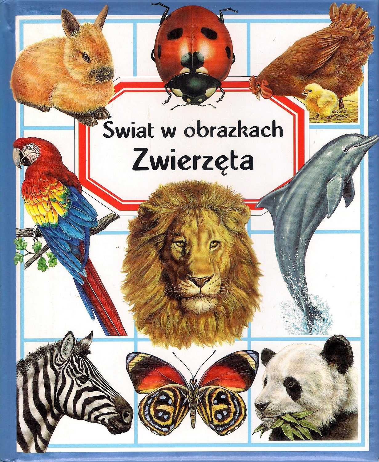 Emilie Beaumont - Świat w obrazkach - Zwierzęta - stan BDB