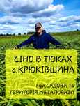 СІНО (Сено) лугове в тюках від Виробника! Початок нового сезону 2024р.