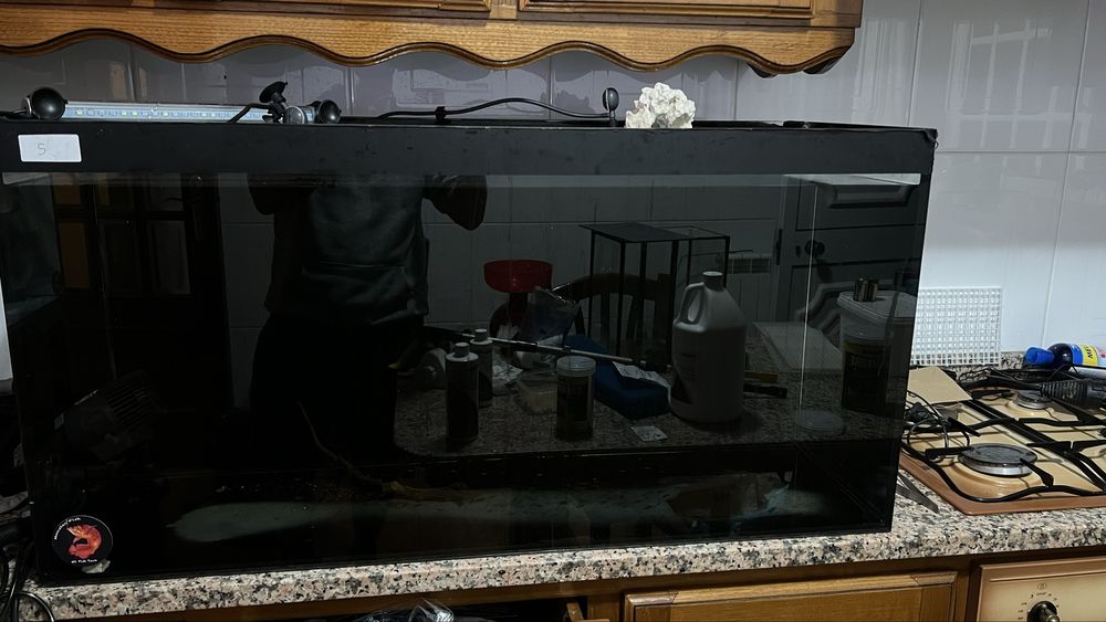 Aquario completo 200 litros