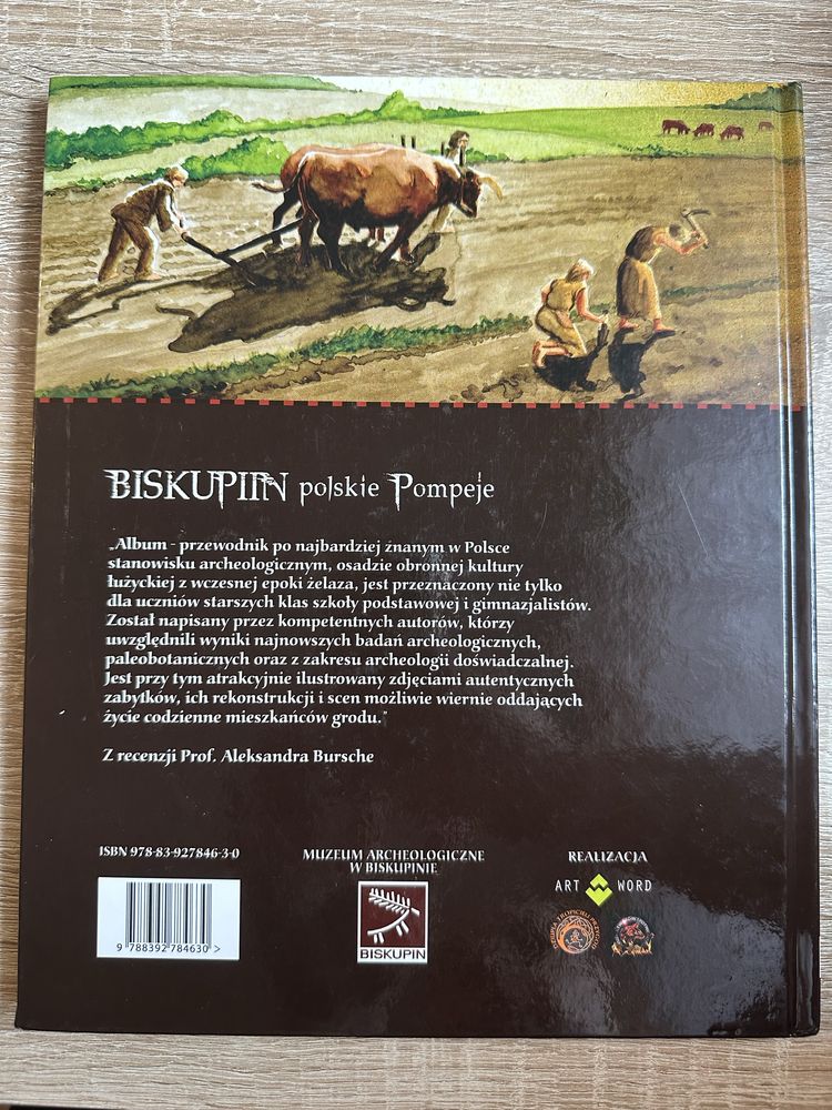 Biskupin polskie Pompeje