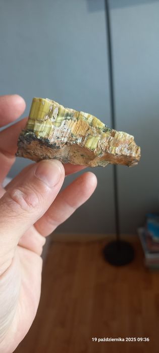 Minerały skamieniałości antygoryt