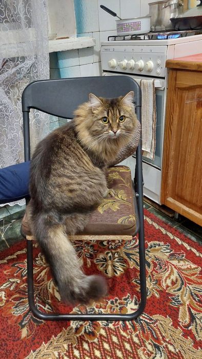 Допоможіть знайти!!!